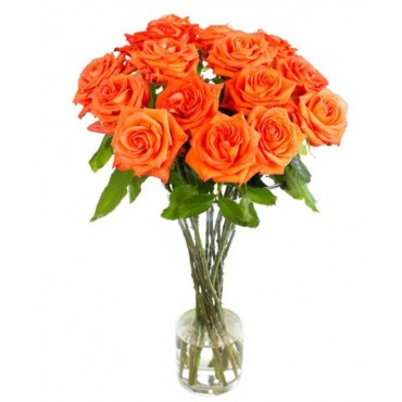 Orange Roses for Home or Office